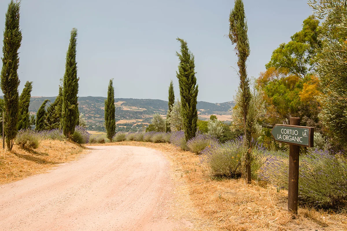 3 La Organic Ronda Wedding Luxury Cortijo 1 | Destination Wedding Photographer Marbella