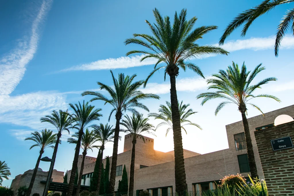 2 EmanuellePhotos 2 2 | Destination Wedding Photographer Marbella