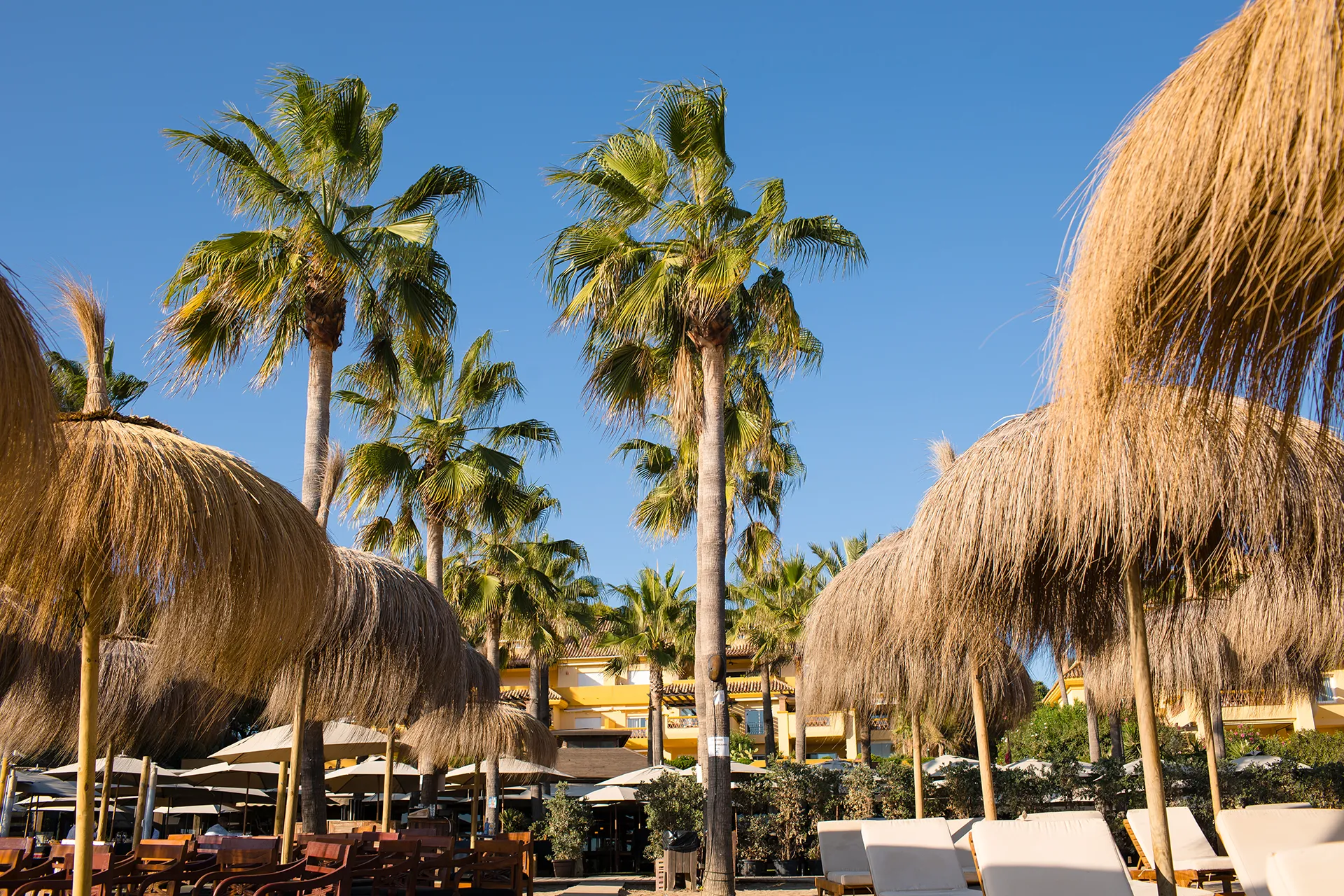 Trocadero arena Marbella